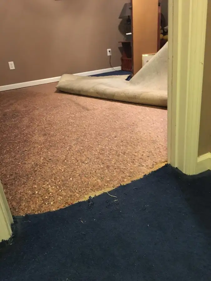 Carpet pad removal revealing water damage during Drying & Dehumidification in Broomfield